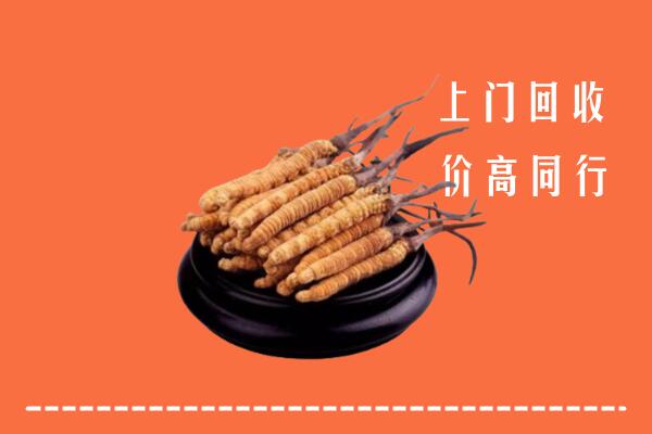 高价求购：张家界市武陵源区回收散虫草
